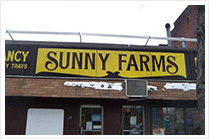 Tisha's Sunny Farm