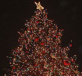 Brookline Christmas Tree Lighting 