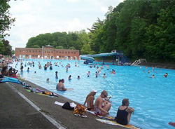 Dormont Pool