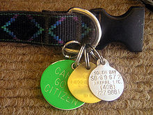 Dog Tags