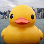 Rubber Duck Project