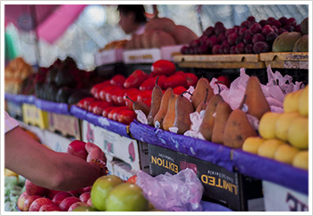 farmers market