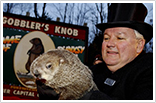 Punxsutawney Phil 