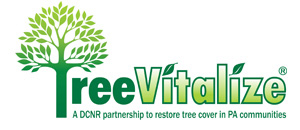TreeVitalize