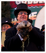 Punxsutawney Phil