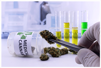 Medical Marijuana Research