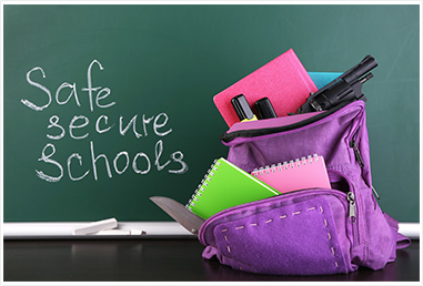 Safe Secure Schools